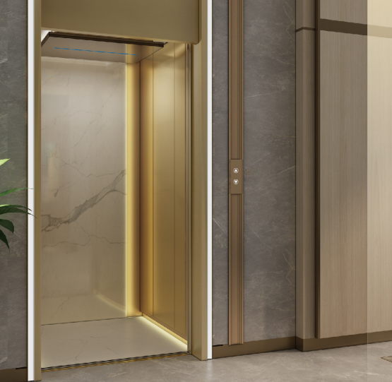 Chinese Style Home Lift